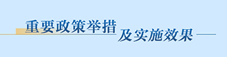 重要政策舉措及實施效果